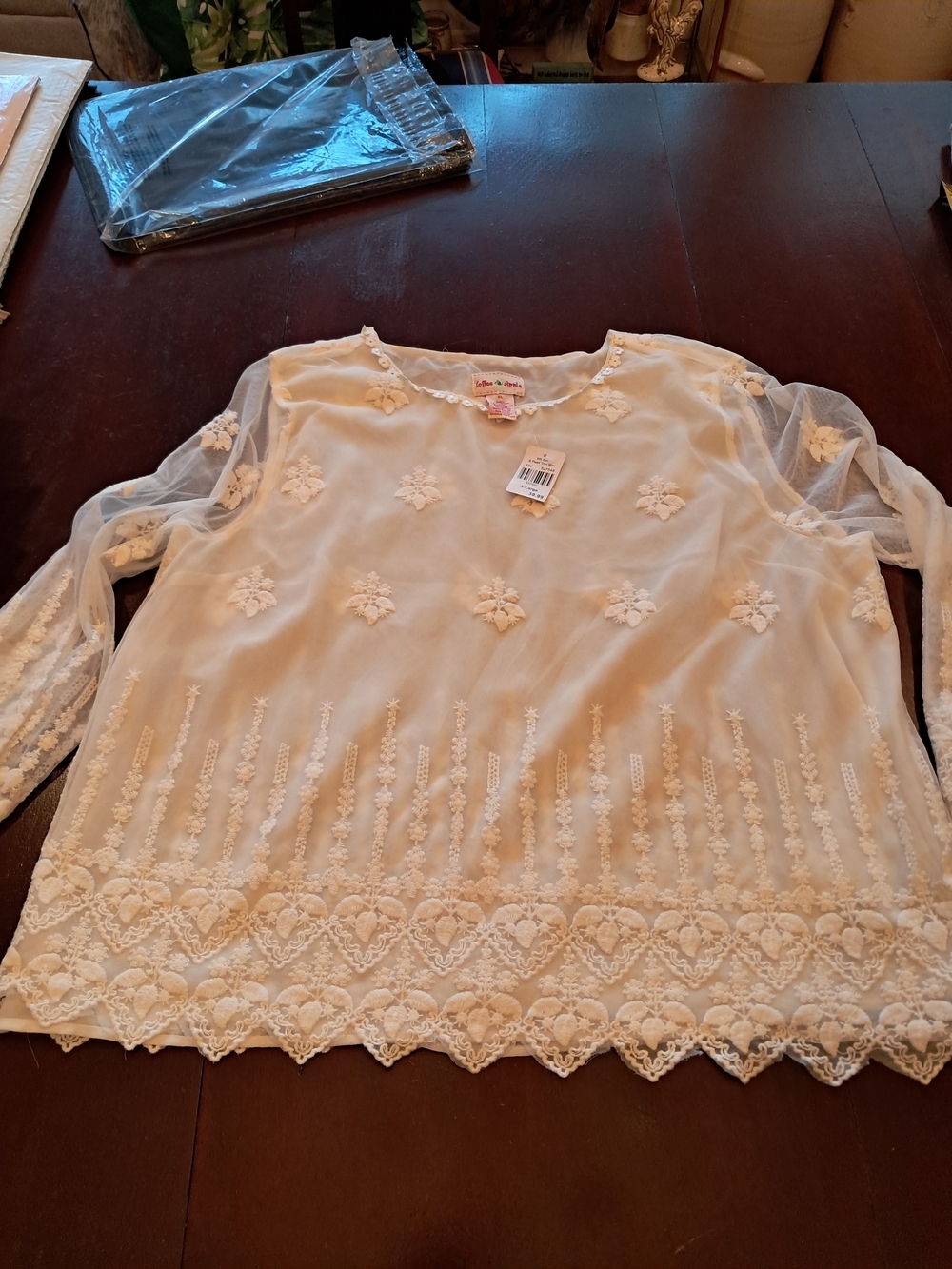 Toffee Apple White Lace Appliqué Sheer Blouse